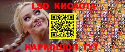 крисы Партизанск