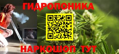 крисы Партизанск