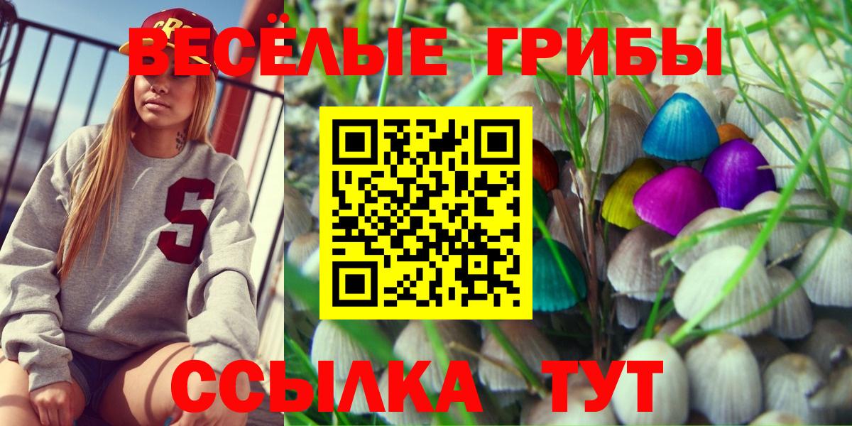 Таганрог  где продают   Псилоцибиновые грибы Magic Shrooms  Вход с VPN  Псилоцибиновые грибы MAGIC MUSHROOMS 