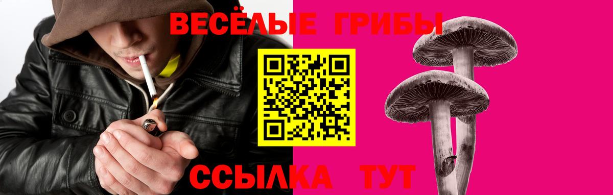 Псилоцибиновые грибы мицелий Таганрог